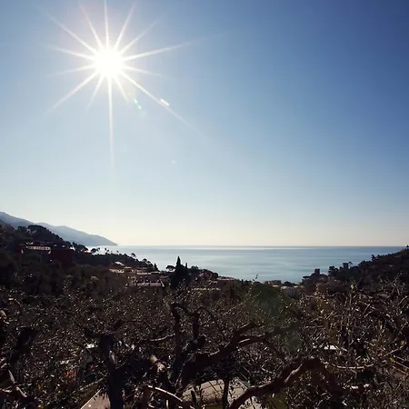 B&B Il Parco Monterosso al Mare Exterior foto